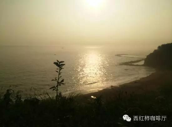 狗狗出行-独享私家海滩-威海国家4A级风景名胜区成山头