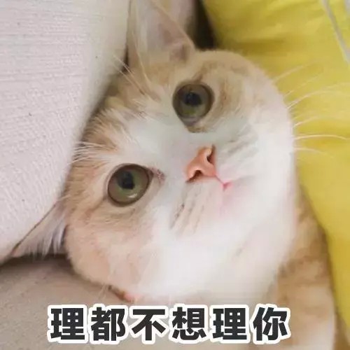 猫咪在叹气是感到无奈么