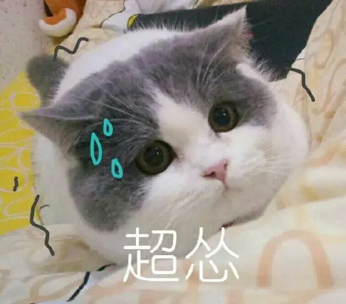 周震南被猫咬！！原来不是所有的猫咪都温顺...